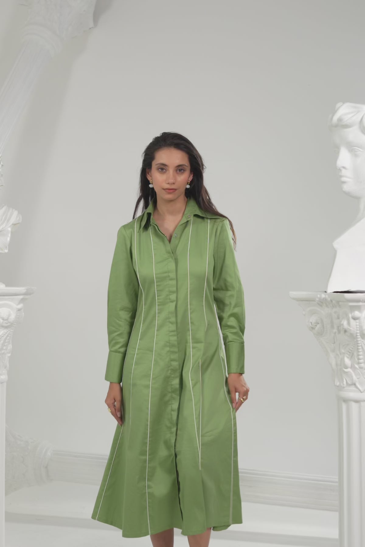 The Sage Linea Shirt Dress